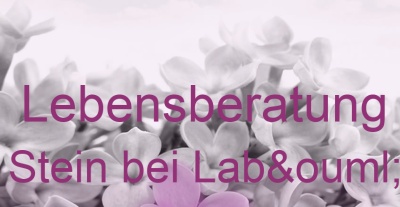 Lebensberatung Stein bei Labö | Top-Experten für Kartenlegen, Wahrsagen, Hellsehen, Zukunftsdeutung. Lebensberatung Stein bei Labö | Top-Experten für Kartenlegen, Wahrsagen, Hellsehen, Zukunftsdeutung.